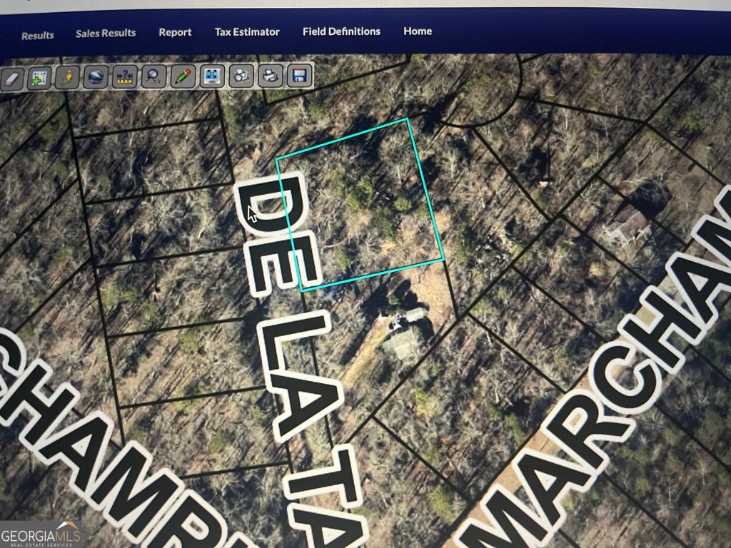 132 De La Taix Drive, Lavonia, GA 30553 — photo 4