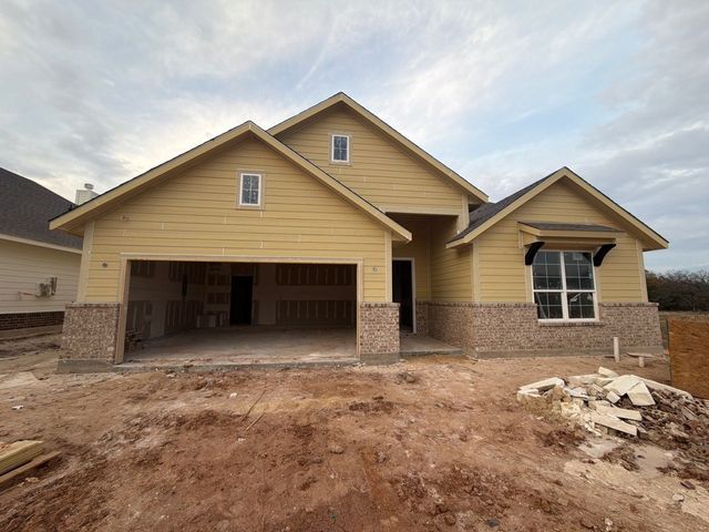 1253 Sabine River Lane, Springtown, TX 76082