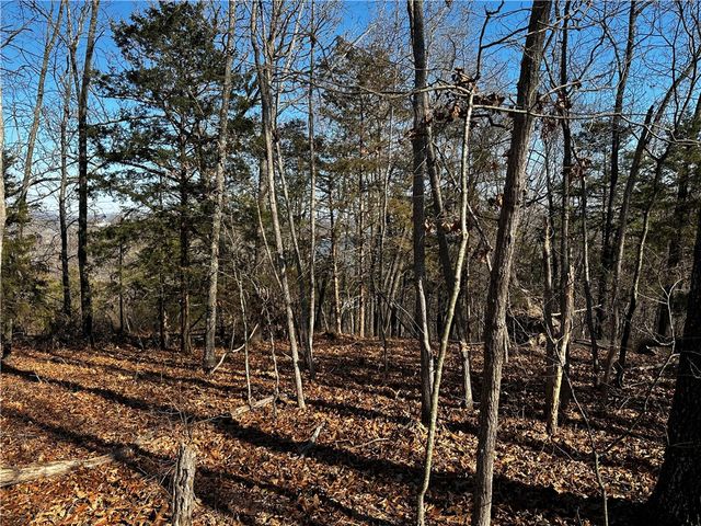 Lot 21 Anchor Drive, Rogers, AR 72756