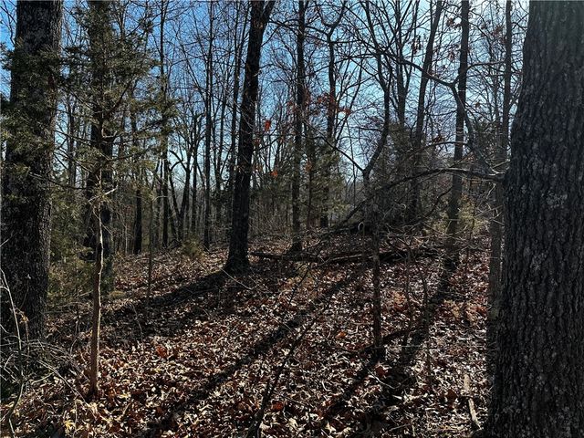 Lot 21 Anchor Drive, Rogers, AR 72756