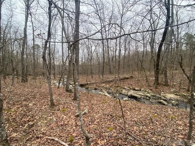 Lot 77 Mustang Drive, Clinton, AR 72031