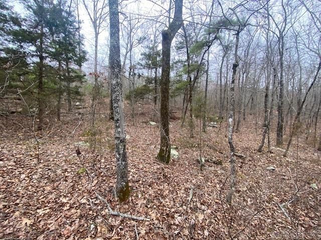 Lot 77 Mustang Drive, Clinton, AR 72031
