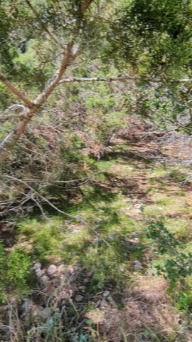 757 Rabbit Ave, Wimberley, TX 78676