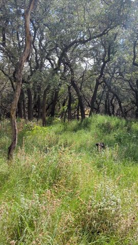 757 Rabbit Ave, Wimberley, TX 78676