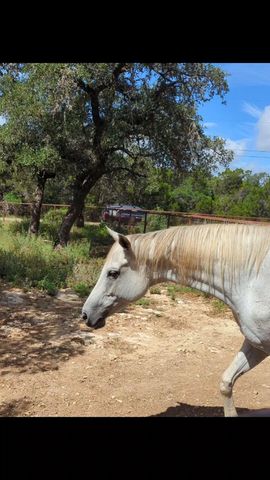 757 Rabbit Ave, Wimberley, TX 78676