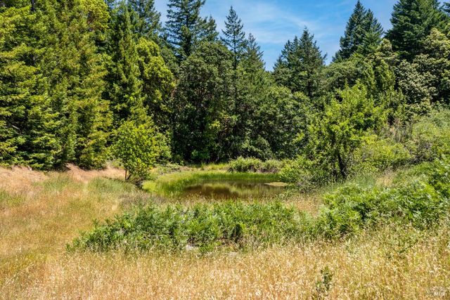 28855 Timberline Rd, Willits, CA 95490
