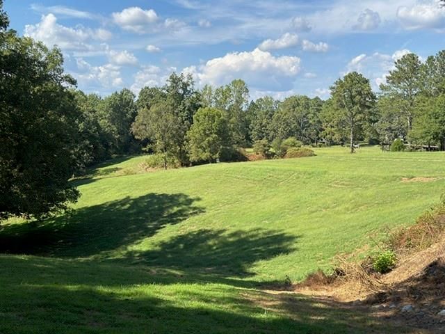 7375 BEAR MOUNTAIN Road, Dawsonville, GA 30534