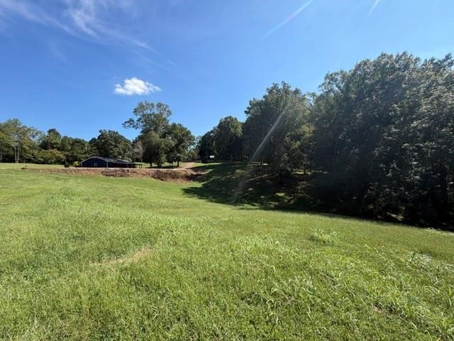 7375 BEAR MOUNTAIN Road, Dawsonville, GA 30534