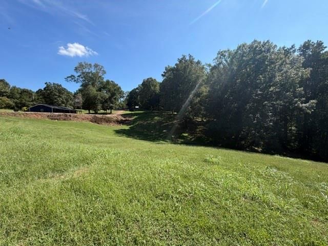 7375 BEAR MOUNTAIN Road, Dawsonville, GA 30534