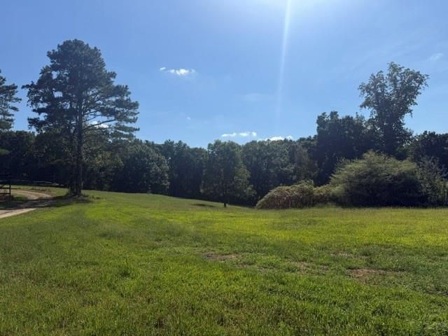 7375 BEAR MOUNTAIN Road, Dawsonville, GA 30534