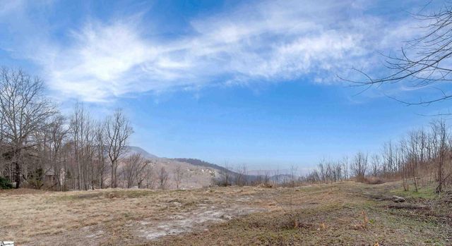 97 The Cliffs Parkway, Landrum, SC 29356