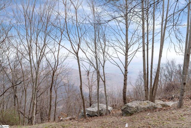 97 The Cliffs Parkway, Landrum, SC 29356