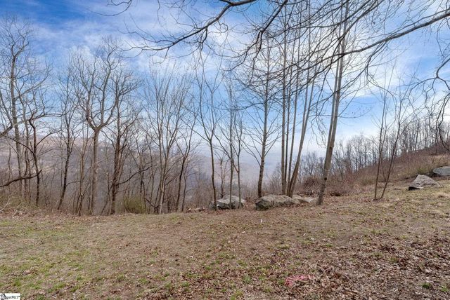 97 The Cliffs Parkway, Landrum, SC 29356