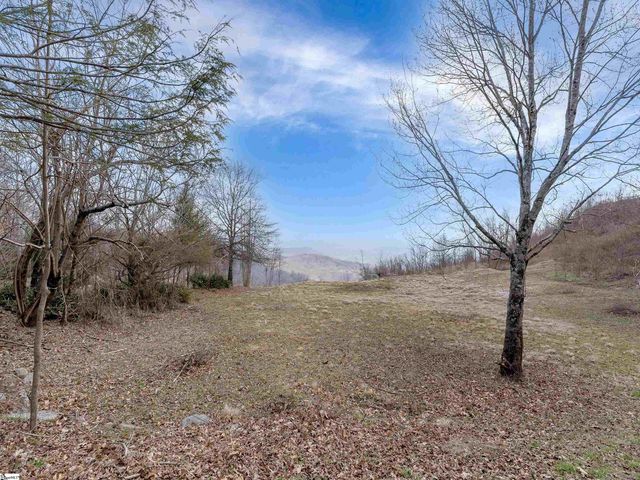 97 The Cliffs Parkway, Landrum, SC 29356