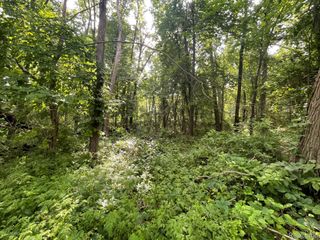09 Tipsico Lake Road, Highland Charter Township, MI 48357