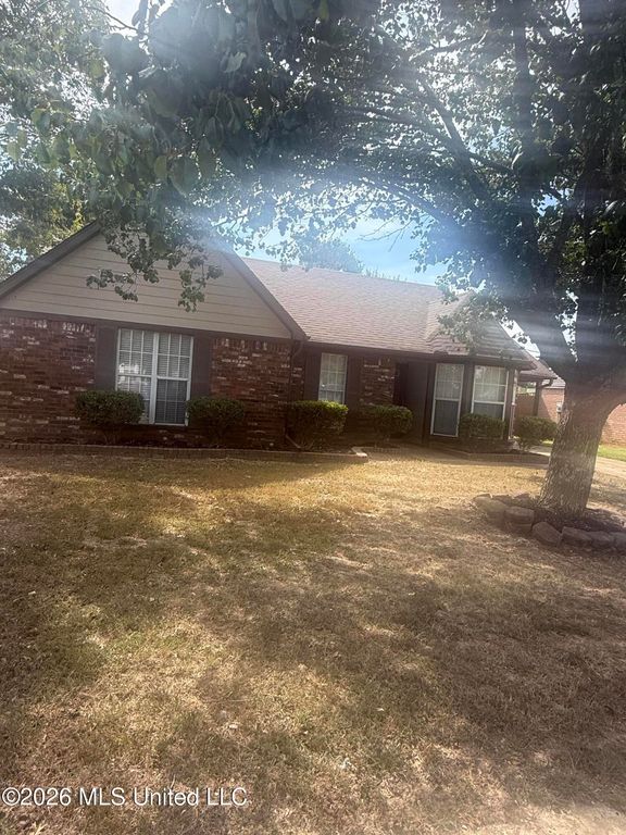 10113 S Oak Run Drive, Olive Branch, MS 38654 — exterior