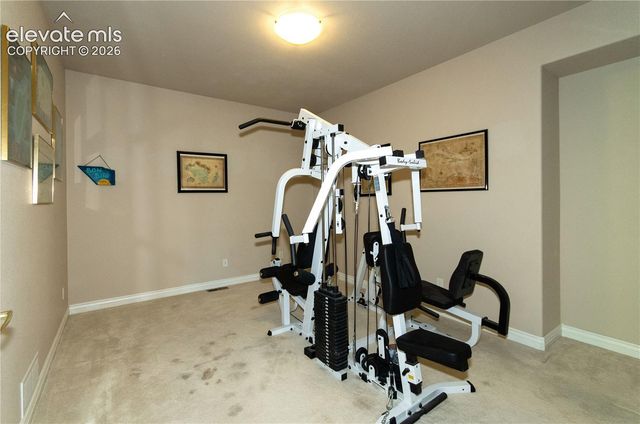 19558 Fox Trail Way, Monument, CO 80132