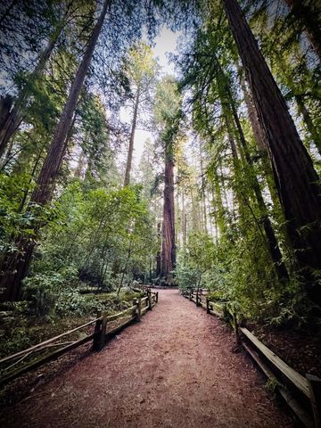 8684 Hihn Road, Ben Lomond, CA 95005