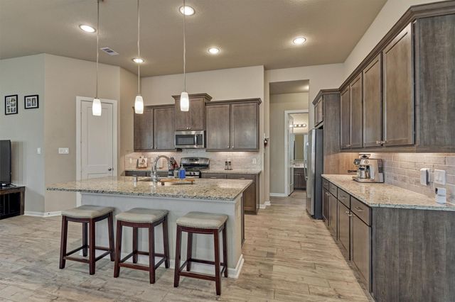 10070 Black Maple Drive, Conroe, TX 77385
