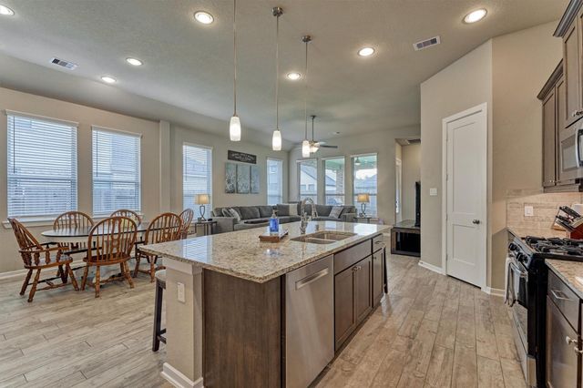 10070 Black Maple Drive, Conroe, TX 77385