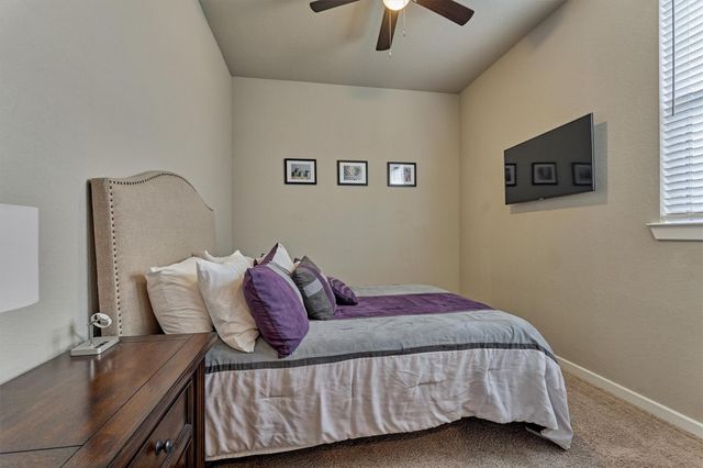 10070 Black Maple Drive, Conroe, TX 77385