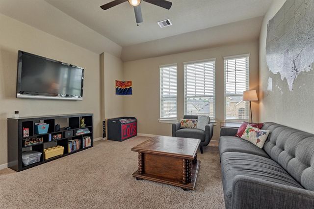 10070 Black Maple Drive, Conroe, TX 77385
