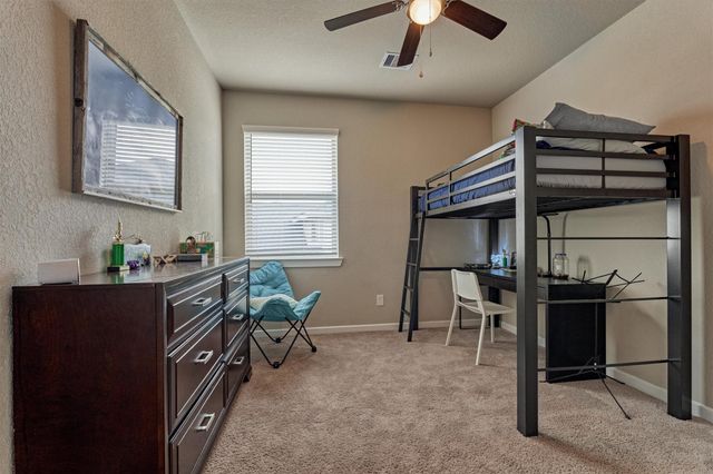 10070 Black Maple Drive, Conroe, TX 77385