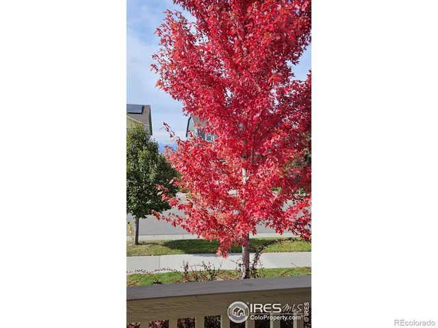 849 Dinosaur Drive, Erie, CO 80516