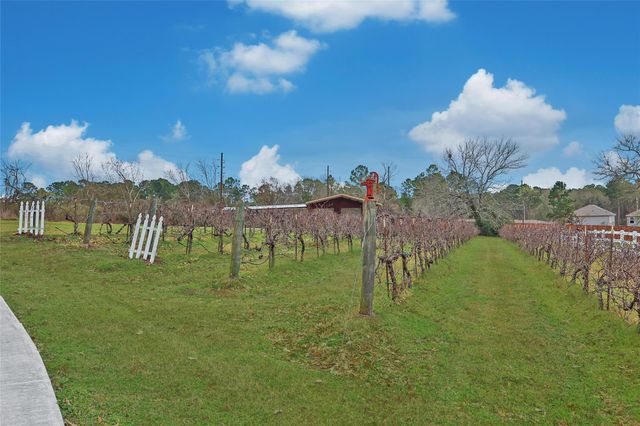 20011 Hilltop Ranch Drive, Montgomery, TX 77316