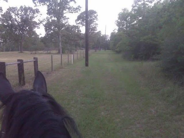 36003 Post Oak Circle, Magnolia, TX 77355