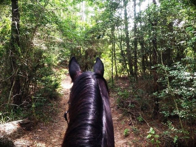 36003 Post Oak Circle, Magnolia, TX 77355