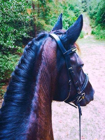 36003 Post Oak Circle, Magnolia, TX 77355