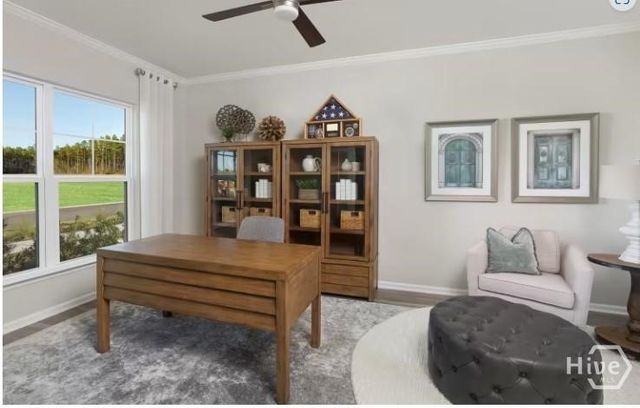 435 Monterey Loop, Richmond Hill, GA 31324