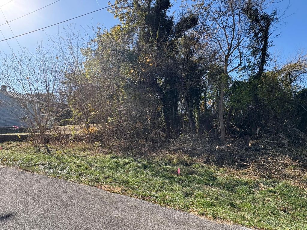 2009 Elm Street, Lynchburg, VA 24504