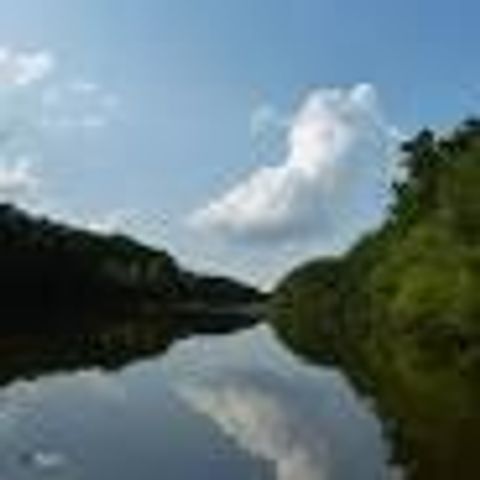 279 Galway Road, Lillington, NC 27546