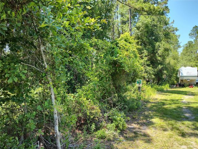 0000 NE 65TH COURT, Citra, FL 32113