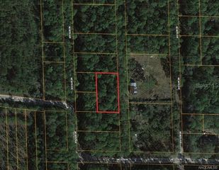 0000 NE 65TH COURT, Citra, FL 32113