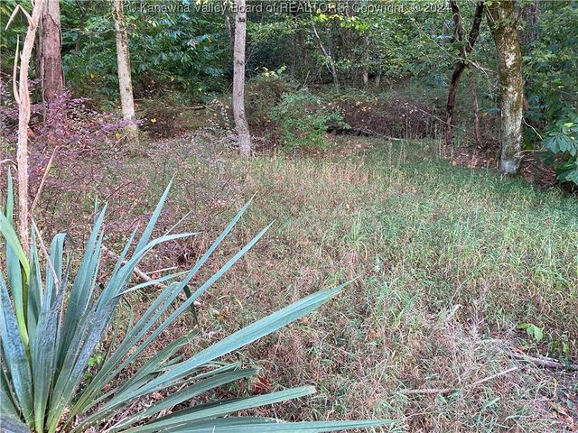 0 Klondyke Road, Ripley, WV 25271