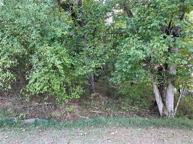 0 Klondyke Road, Ripley, WV 25271