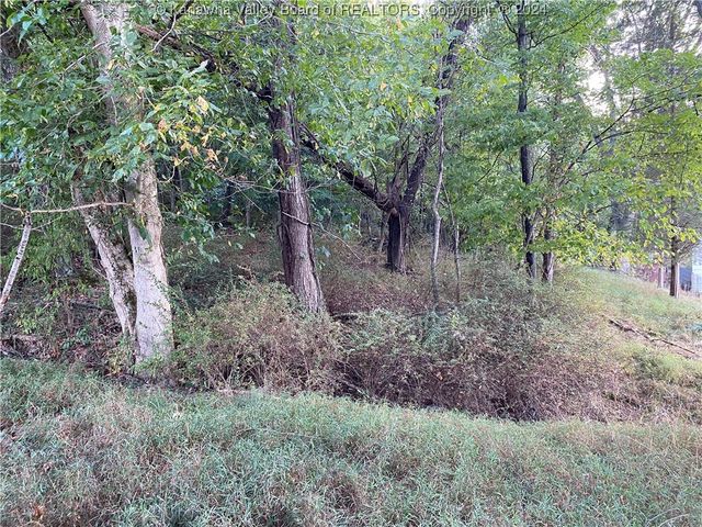 0 Klondyke Road, Ripley, WV 25271