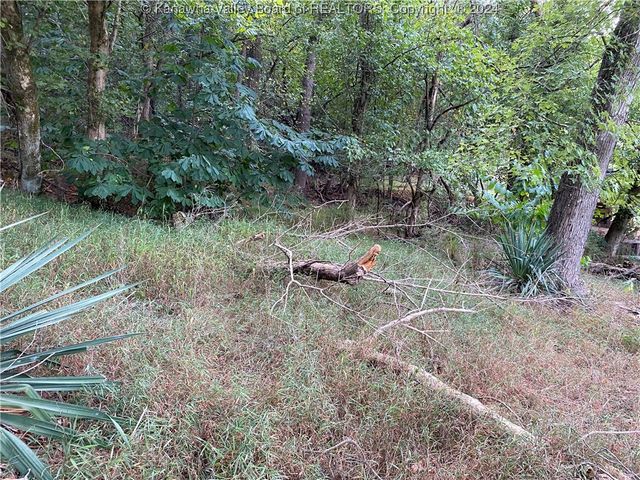 0 Klondyke Road, Ripley, WV 25271