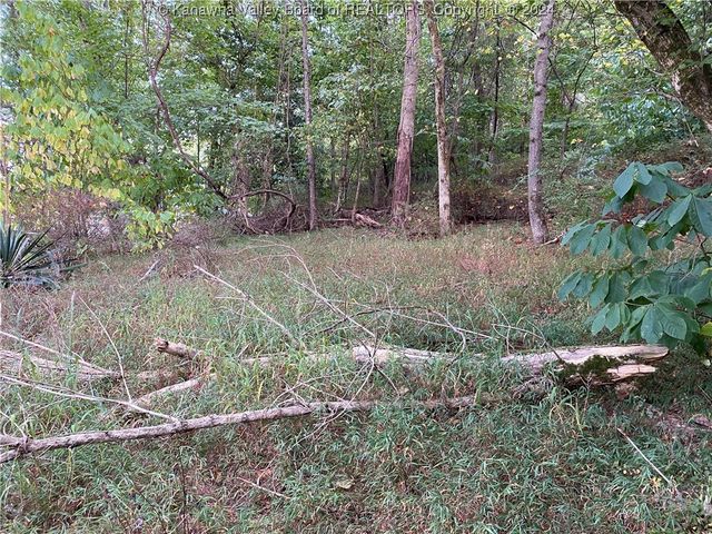 0 Klondyke Road, Ripley, WV 25271