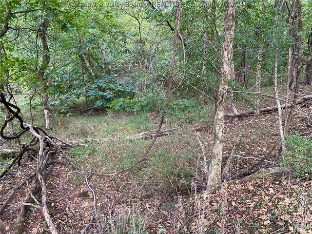 0 Klondyke Road, Ripley, WV 25271