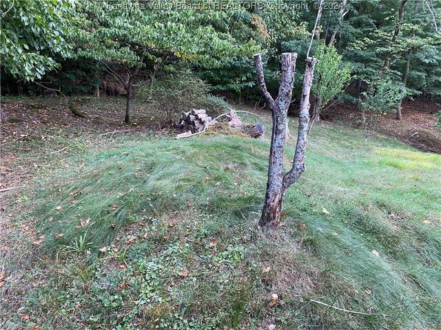 0 Klondyke Road, Ripley, WV 25271