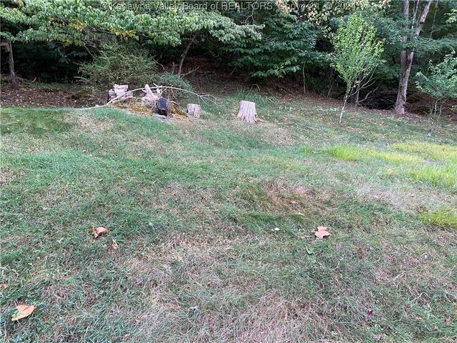 0 Klondyke Road, Ripley, WV 25271