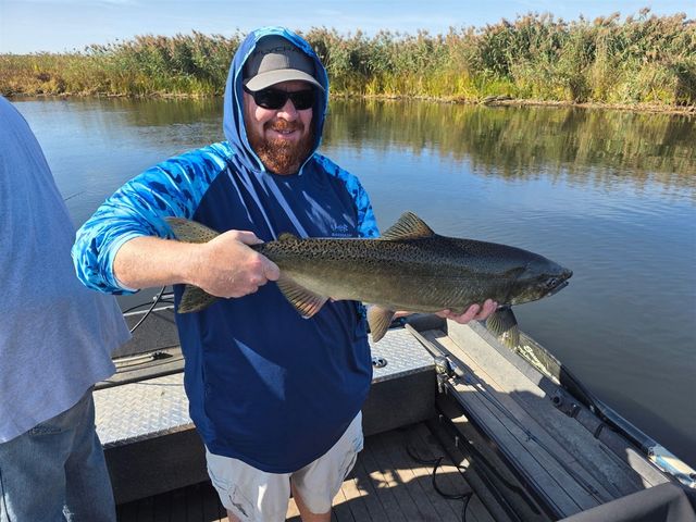 7842 Main Street, Newaygo, MI 49337