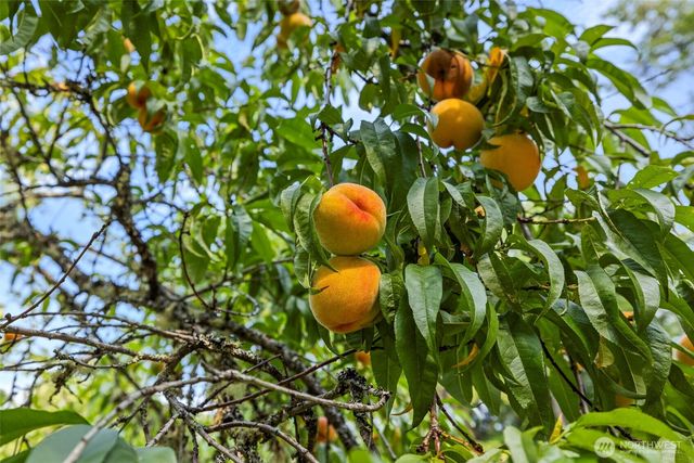 7589 Bailey Road, Clinton, WA 98236