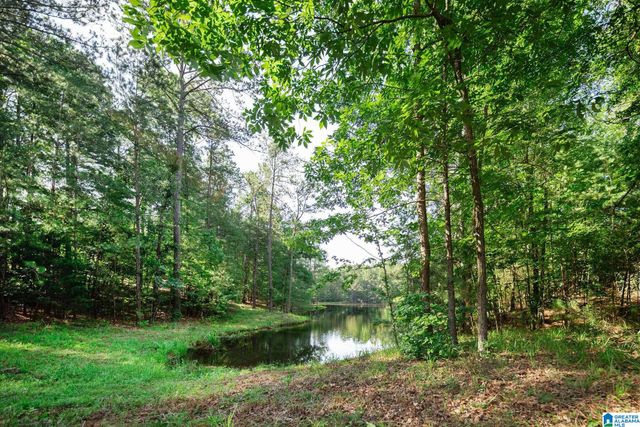 1083 TARA DRIVE, Columbiana, AL 35051