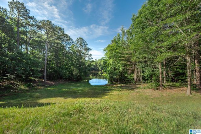 1083 TARA DRIVE, Columbiana, AL 35051