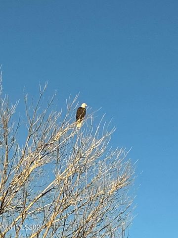 7290 Island Queen Drive, Sparks, NV 89436